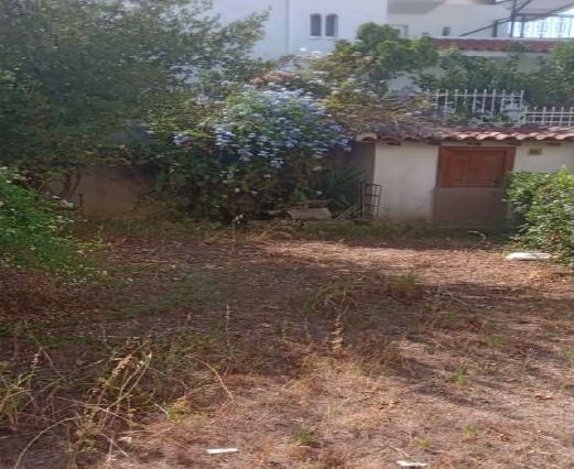 Tranquil Living on Private Plot