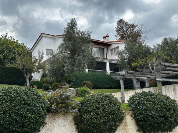 Seaside Tranquility in Achladi, Evia