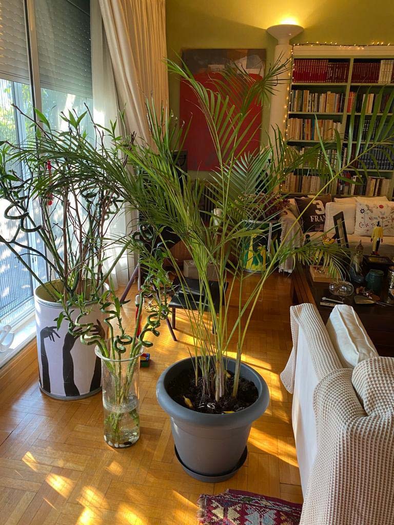 Acropolis Views in Kolonaki