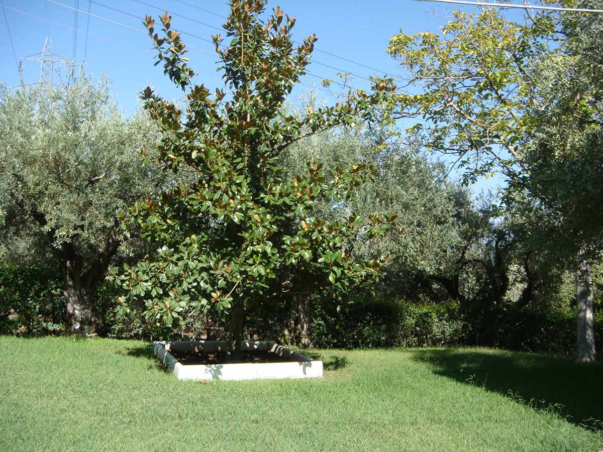 Sea View Garden Retreat, Kamena Vourla